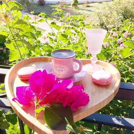 酒店 Sunshine Boutique 达利安