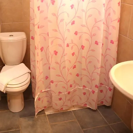 Sunshine Boutique 酒店 达利安