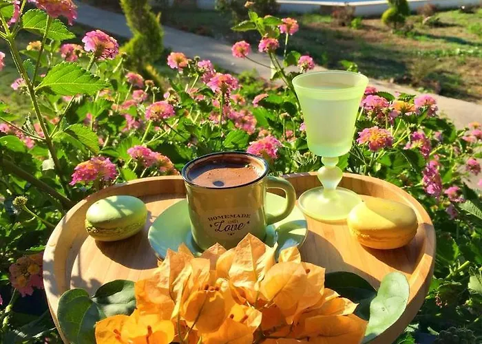 Hotel Sunshine Boutique *