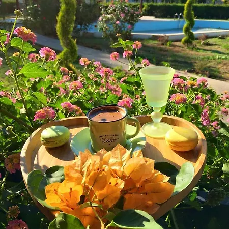 Hotel Sunshine Boutique *