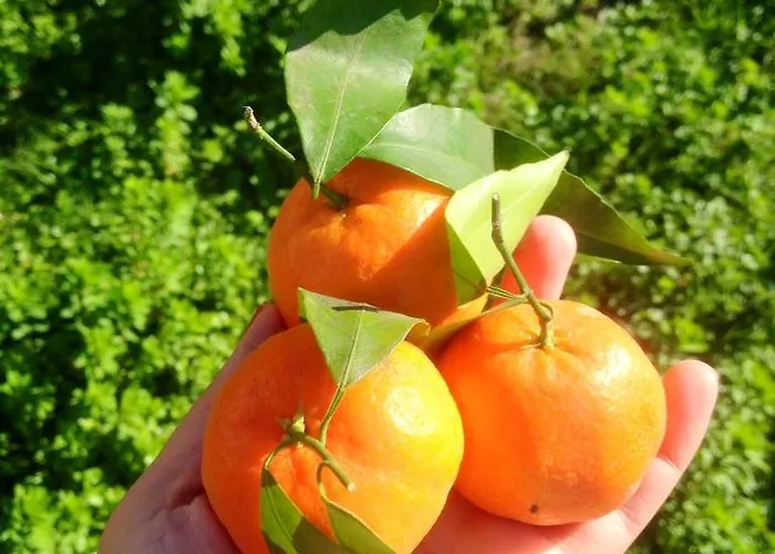 Sunshine Boutique * Dalyan