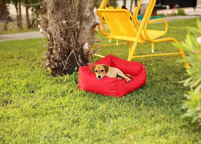 Sunshine Boutique Dalyan