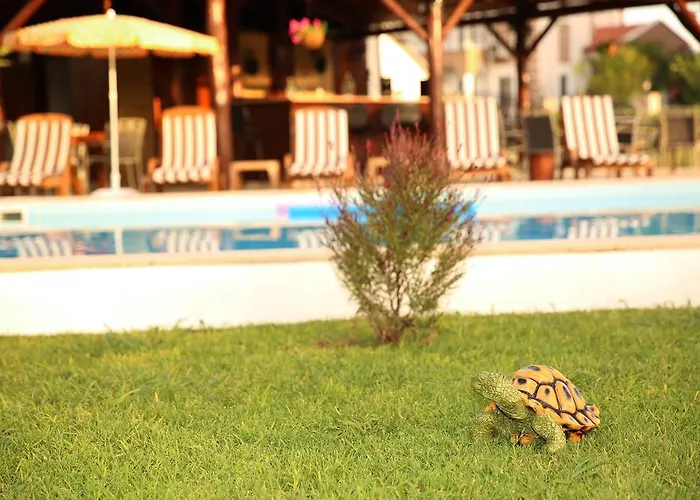 Ξενοδοχείο Sunshine Boutique